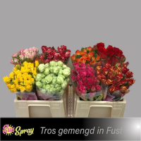 Rosa Ramificada Mix Mixto 50cm (x10)