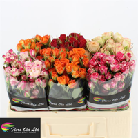 Rosa Ramificada Mix Mixto 50cm (x10)