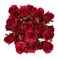 Rosa Ramificada Red Mikado Rojo 40cm (x10)