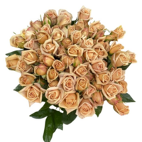 Rosa Ramificada Zahara Chocolate Teja 60cm (x10)