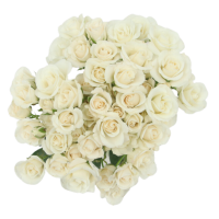 Rosa Ramificada Galaxi Blanco 40cm (x10)