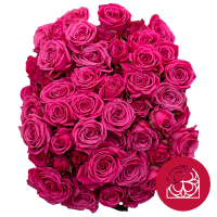 Rosa Ramificada Hot Magenta Jewel Fucsia 50cm (x10)