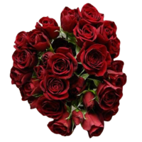 Rosa Ramificada Rubicon Rojo 50cm (x10)