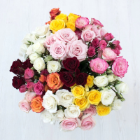 Rosa Ramificada Rainbow Mixto 50cm (x10)