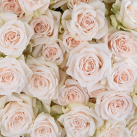 Rosa Ramificada Sushi Rosa Claro 40cm (x10)