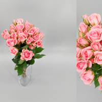 Rosa Ramificada Odilia Rosa 60cm (x10)