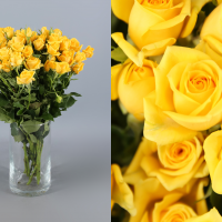 Rosa Ramificada Mariah Amarillo 40cm (x10)