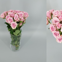 Rosa Ramificada Leila Rosa Claro 40cm (x10)